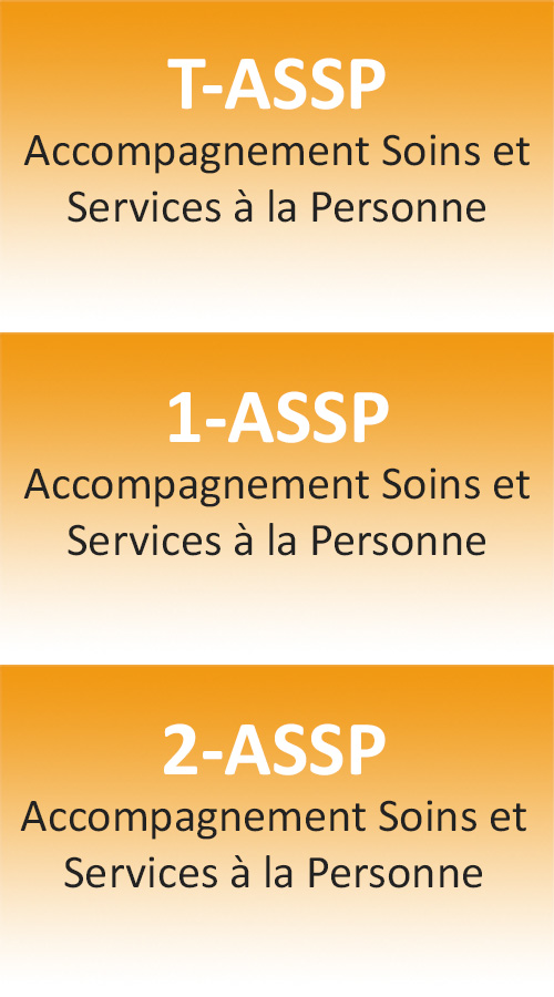 Bac Pro ASSP
